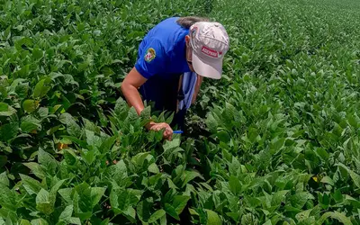 Foto: Ascom/Adepará