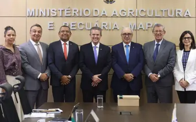 Foto: Percio Campos/Mapa