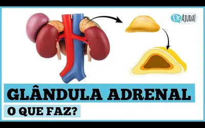 Foto: Reprodução/Canal Doutor Ajuda
