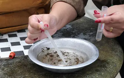 No Paraná, 48% a mais de casos de dengue, em uma semana. Foto: Venilton Kuchler/Arquivo SESA-PR