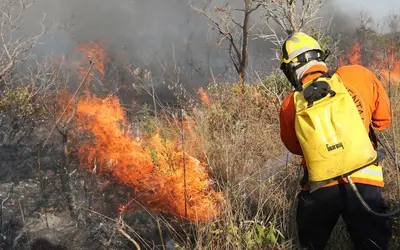 Foto: Fabio Rodrigues Pozzebom/Agência Brasil