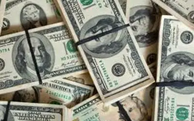 Foto: bearfotos/Freepik