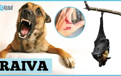 Foto: Reprodução/Canal Doutor Ajuda