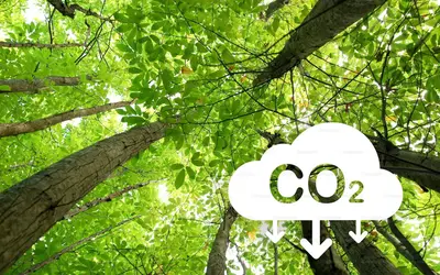 Imagem: Unsplash.com