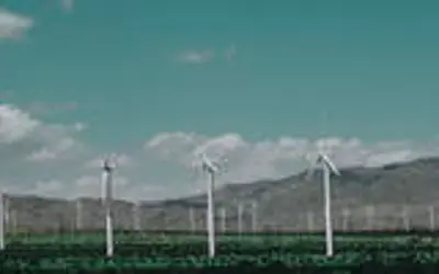 Foto: Freepik Foto: Freepik