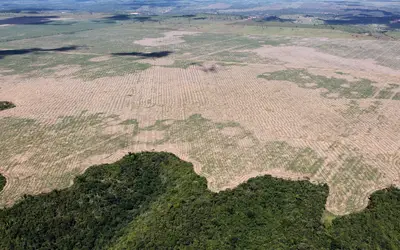Foto: Felipe Werneck/Ibama