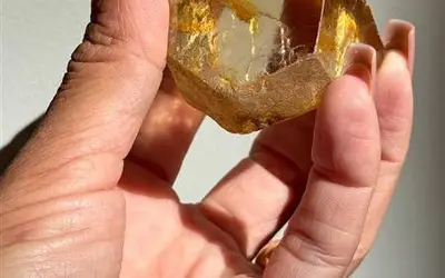 Imagem: Divulgação / ANM