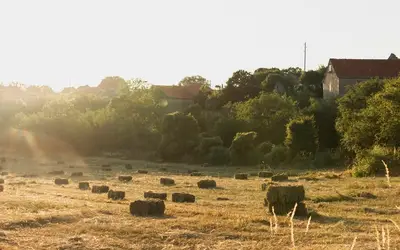 Foto: Freepik Foto: Freepik