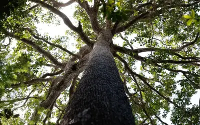 Foto: Fernando Frazão/Agência Brasil