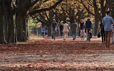 Outono é uma estação admirada pela beleza poética das folhas secas Foto: Pixabay/Domínio Público