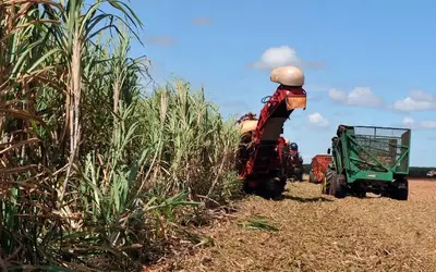 Agronegócio teve redução nas contratações em novembro. Foto: Arquivo/Agência Brasil
