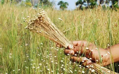 Foto: Esequias Araújo - Governo do Tocantins