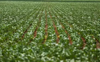 Foto: Marcelo Camargo/Agência Brasil