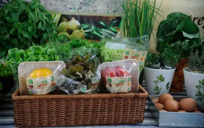 População aumenta o consumo de produtos sustentáveis  Foto: Fernando Frazão/Agência Brasil 