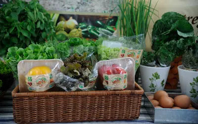 População aumenta o consumo de produtos sustentáveis  Foto: Fernando Frazão/Agência Brasil 