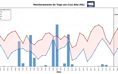 Imagem: Divugação / Inmet