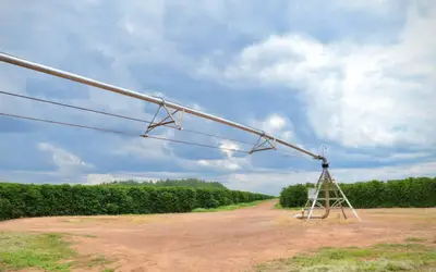 Foto: Yasmin Fonseca/MIDR