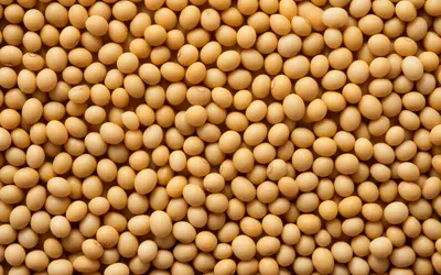 Foto: Vectonauta/Freepik