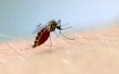 Foto: Vinícius Marinho/Fiocruz