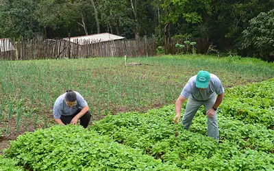 Foto: Camille Perissé/Agência IBGE Notícias
