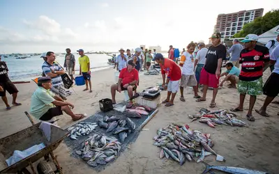 Foto: Reprodução Oceana