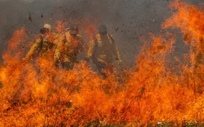 Foto: Joédson Alves/Agência Brasil