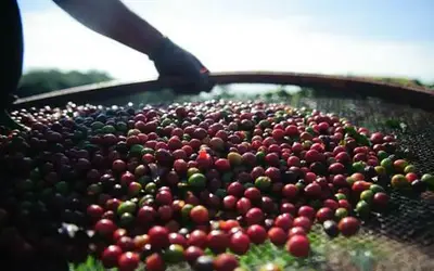 Foto: Marcelo Camargo/Agência Brasil