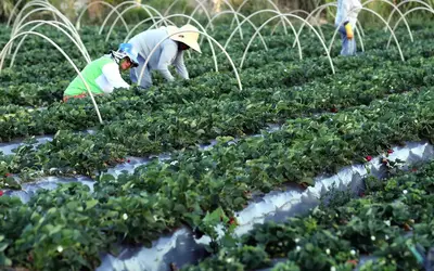 Foto: Valter Campanato/Agência Brasil