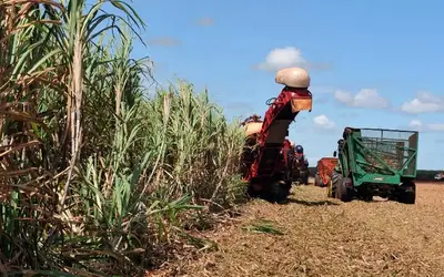 Plano Safra aumenta em 15% valores da safra anterior Foto: Arquivo/Agência Brasil