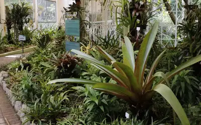 Foto: Fernando Frazão/Agência Brasil