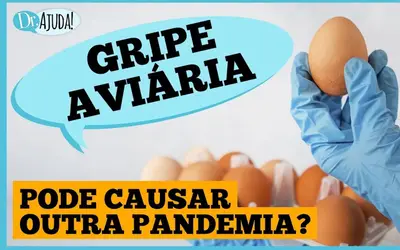 Foto: Dr. Ajuda!/divulgação