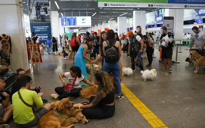Foto: Fabio Rodrigues-Pozzebom/Agência Brasil
