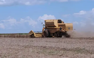 Maioria das cidades que investem no agronegócio cresceram nível de emprego  Foto: Arquivo/Agência Brasil