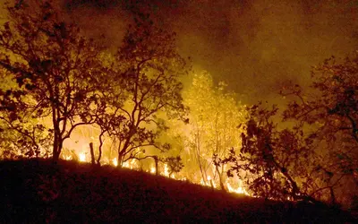 Foto: Reprodução Jader Souza AL Roraima