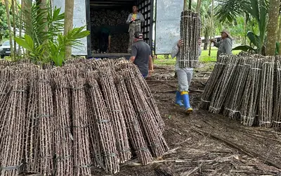 Foto: Weverton Façanha/Governo do Estado do Amapá (GEA)