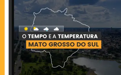 Imagem: Brasil 61