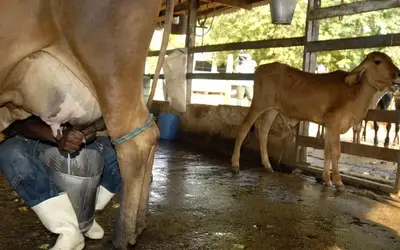 Foto: Marcelo Camargo/Agência Brasil 