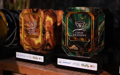 Imagem: ApexBrasil/Divulgação