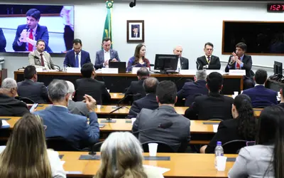 Foto: Vinicius Loures/Câmara dos Deputados
