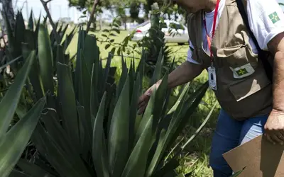 Foto: Marcelo Camargo/Agência Brasil Foto: Marcelo Camargo/Agência Brasil