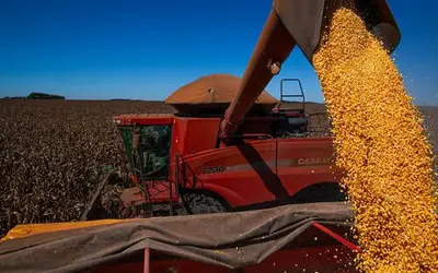 Agronegócio brasileiro defende simplificação dos impostos e garantia do direito de propriedade  Foto: Wenderson Araujo/CNA