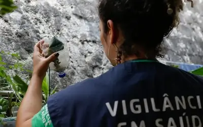 Foto: Fernando Frazão/Agência Brasil Foto: Fernando Frazão/Agência Brasil