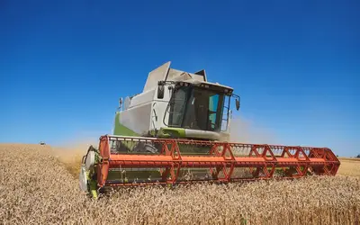 Foto: banco de imagens/Gov 