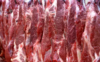 Foto: Jaelson Lucas/Arquivo AEN