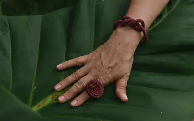 Foto: Aryanne Almeida Foto: Aryanne Almeida