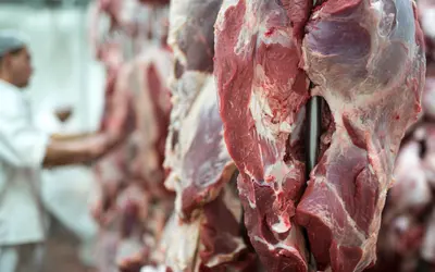 China receber o primeiro lote de proteína animal do Brasil  Foto: aleksandarlittlewolf/Freepik