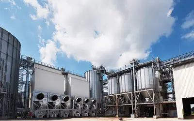 Foto: standret/Freepik