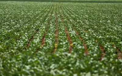 Foto: Marcelo Camargo/Agência Brasil