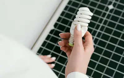 Foto: Freepik Foto: Freepik