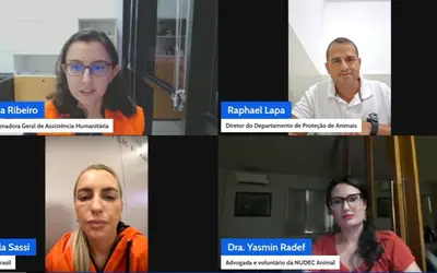 Imagem: Reprodução/MIDR